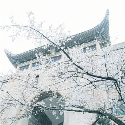“中国书画五洲行”国际巡展（北京站）活动启动